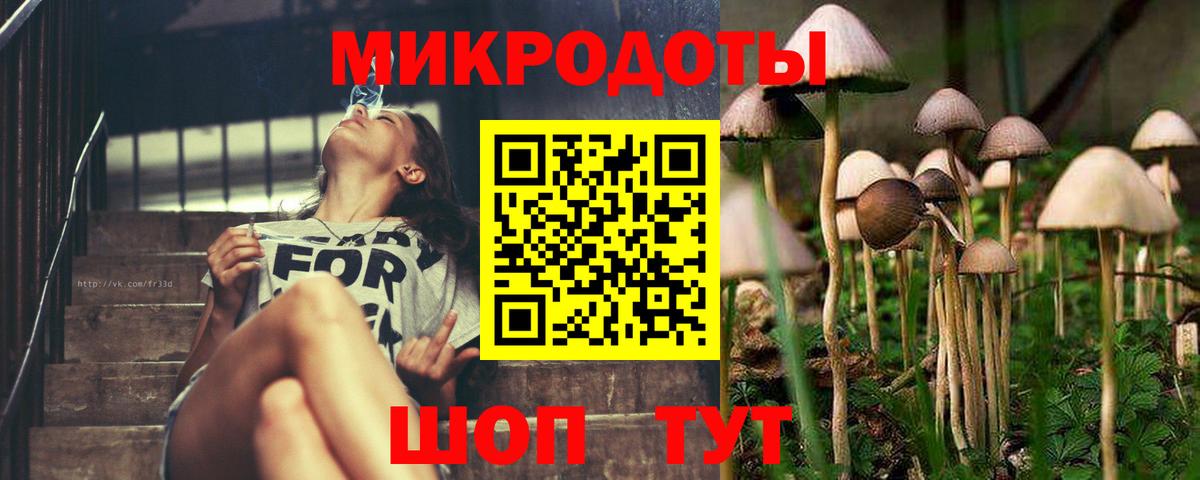 Псилоцибиновые грибы Psilocybe  Псилоцибиновые грибы Psilocybe  Вход с VPN  Аша 